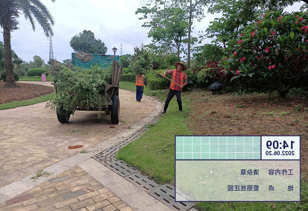 欢迎访问十大电子网址工人正在清运杂草